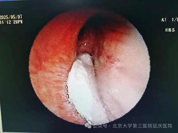 图片8.jpg
