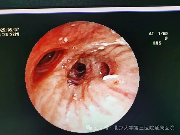 图片9.jpg