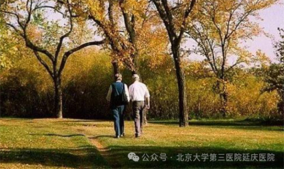 图片11.jpg
