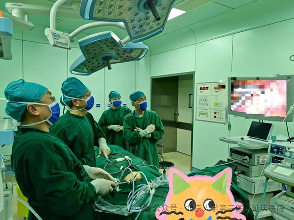 图片10.jpg