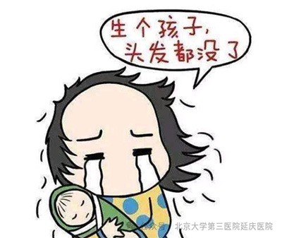图片20.jpg