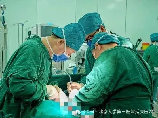 图片34.jpg
