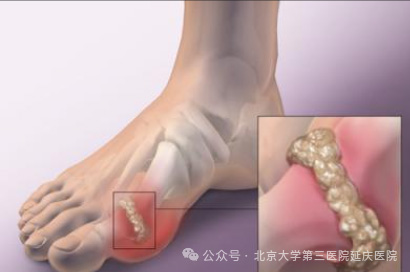 图片63.jpg
