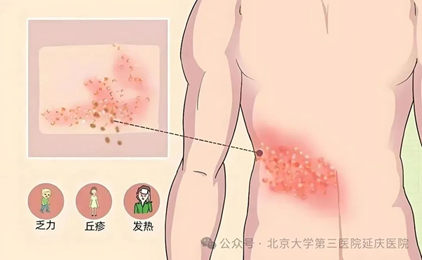图片10.jpg