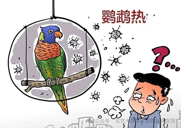 图片-2.jpg