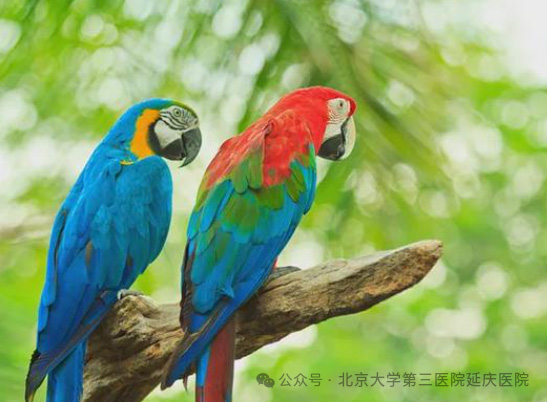 图片-3.jpg