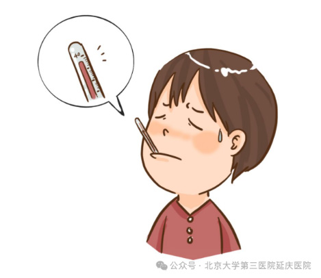 图片-5.jpg