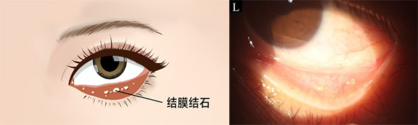 图片13.jpg 图片13.jpg