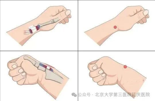 图片7.jpg 图片7.jpg