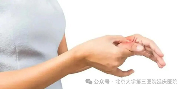 图片10.jpg 图片10.jpg