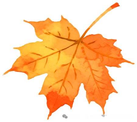 图片11.jpg 图片11.jpg