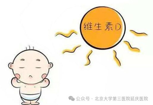 图片13.jpg 图片13.jpg