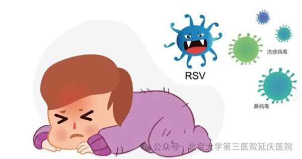 图片5.jpg 图片5.jpg