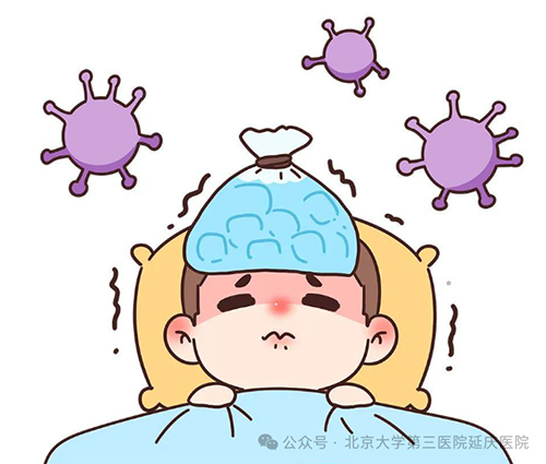 图片12.jpg 图片12.jpg