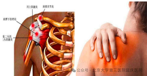 图片8.jpg 图片8.jpg