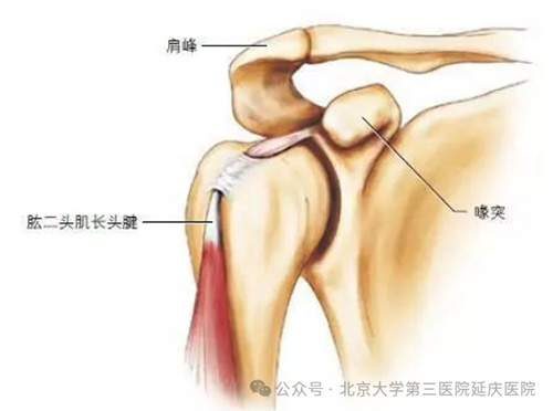 图片11.jpg 图片11.jpg