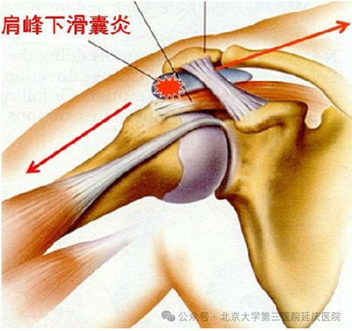 图片12.jpg 图片12.jpg