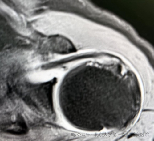 图片13.jpg 图片13.jpg