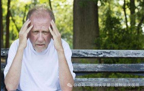 图片15.jpg 图片15.jpg