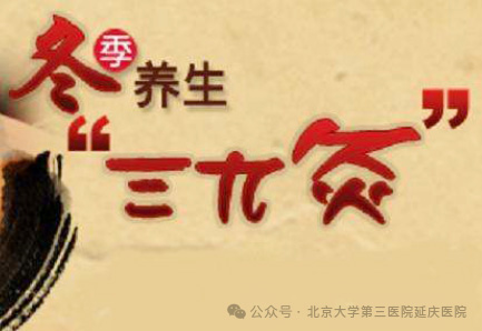 图片7.jpg 图片7.jpg