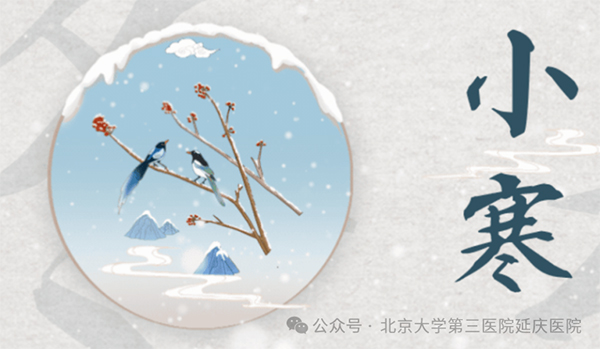 图片3.jpg 图片3.jpg