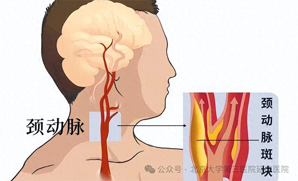 图片8.jpg 图片8.jpg