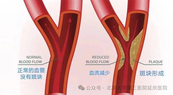 图片10.jpg 图片10.jpg