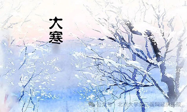 图片 1.jpg 图片 1.jpg