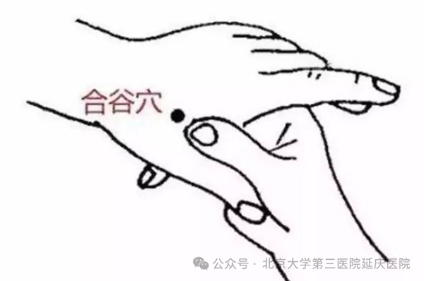 图片 5.jpg 图片 5.jpg