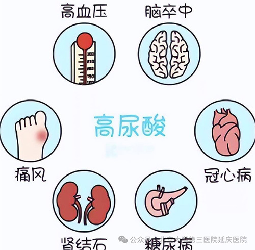 图片15.jpg 图片15.jpg