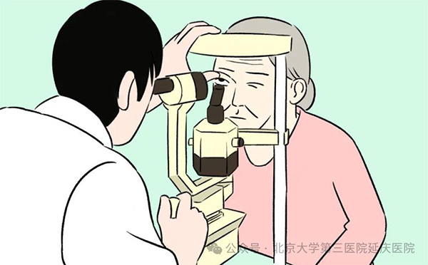 图片16.jpg 图片16.jpg