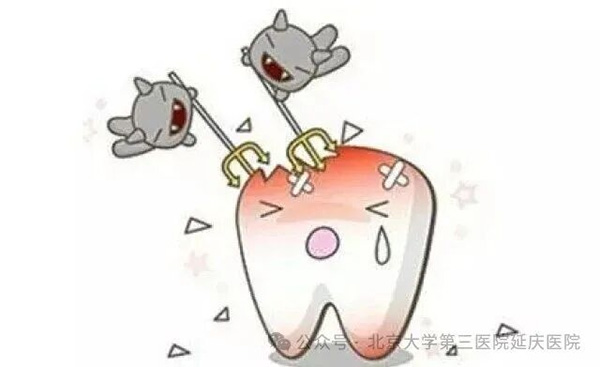 图片22.jpg 图片22.jpg