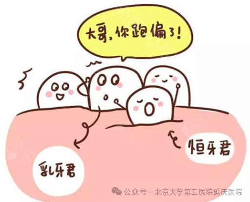 图片24.jpg 图片24.jpg