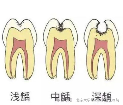 图片25.jpg 图片25.jpg