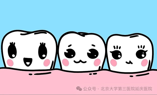 图片28.jpg 图片28.jpg