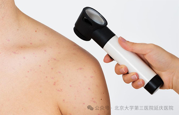 图片26.jpg 图片26.jpg