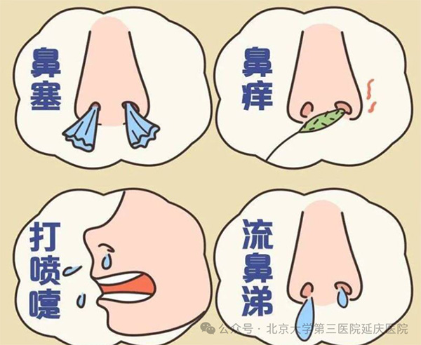 图片21.jpg 图片21.jpg