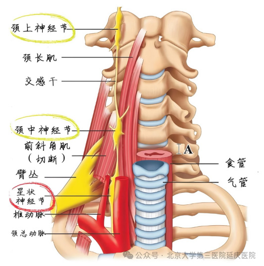 图片22.jpg 图片22.jpg