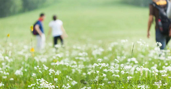 图片18.jpg 图片18.jpg