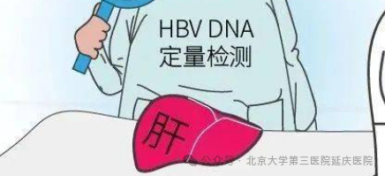 图片3.jpg 图片3.jpg