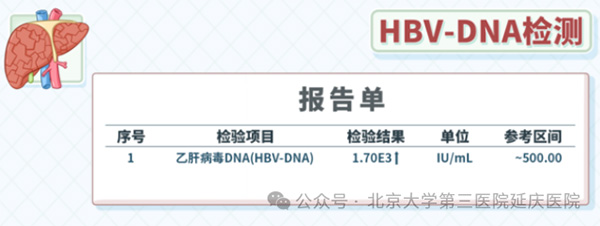 图片4.jpg 图片4.jpg