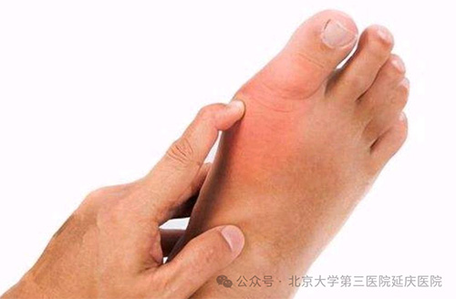 图片6.jpg 图片6.jpg