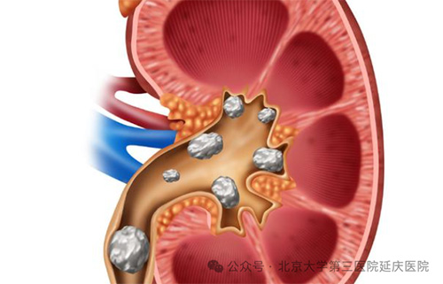 图片7.jpg 图片7.jpg