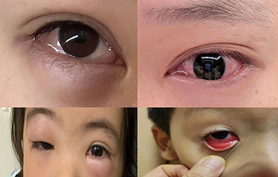 图片11.jpg 图片11.jpg