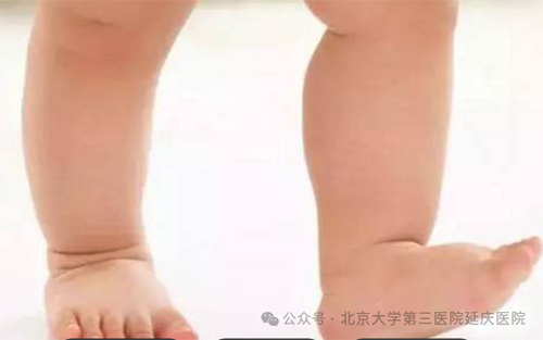 图片13.jpg 图片13.jpg