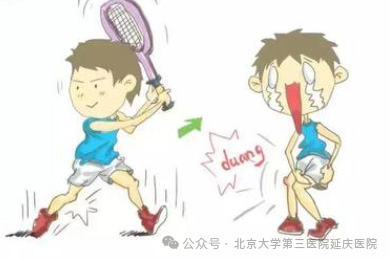 图片15.jpg 图片15.jpg