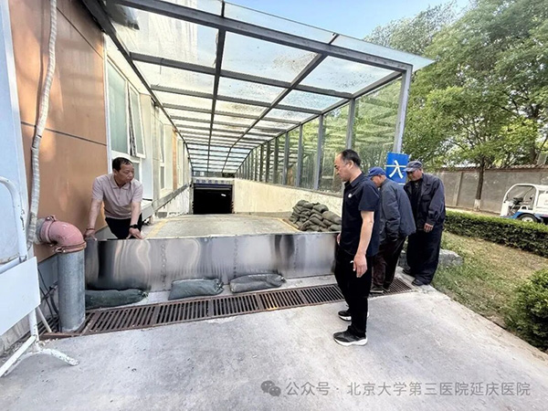 图片11.jpg