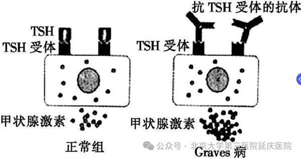 图片9.jpg