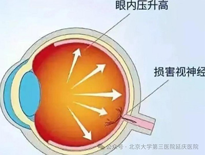 图片16.jpg
