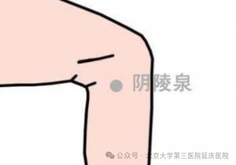图片6.jpg